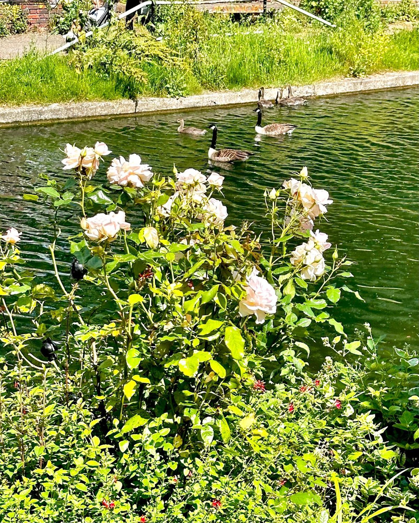 Amazing Location - City Of London- 2 Bedroom Stunning Canal View House With Private Garden,Parking & Balcony المظهر الخارجي الصورة